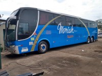 /album/galeria-de-fotos-frota/a56408527-1981044248685653-1159717379819700224-n-jpg2/